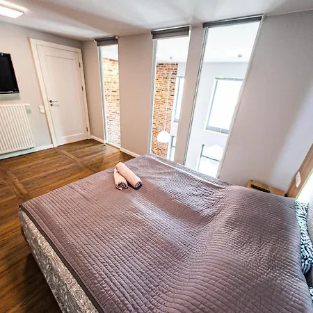 Euro Szafarnia Delux Apartment *